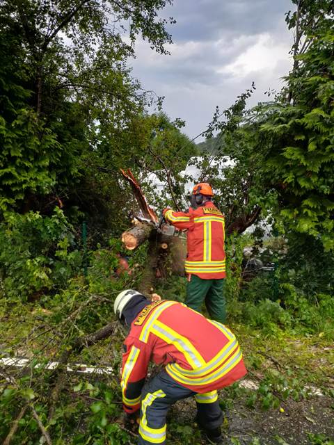 IMG-20210815-WA0036 groß.jpg